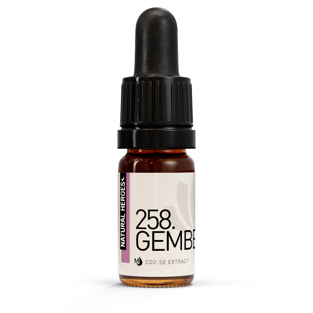 Extrait de CO2 de Gember