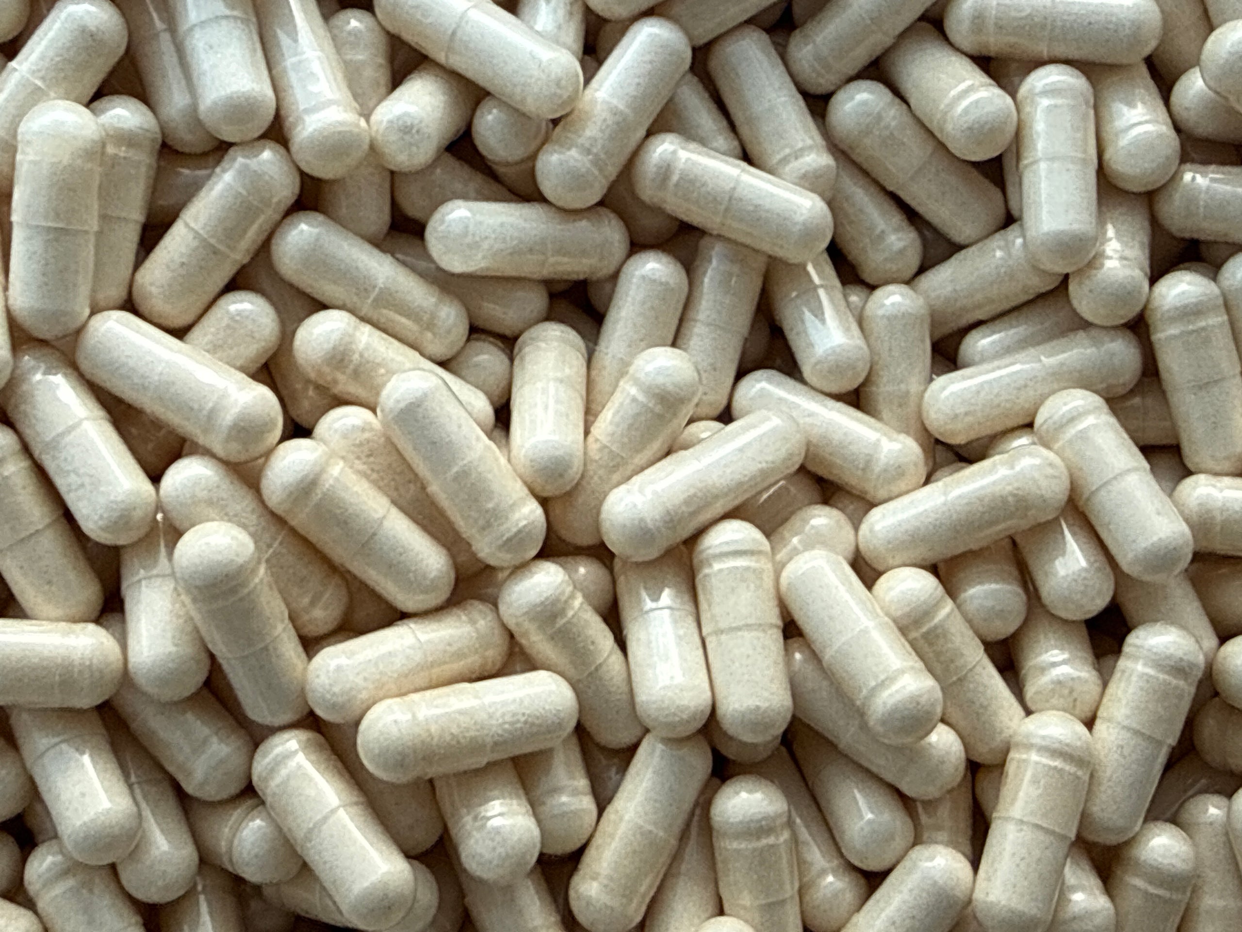 Ecdysterone 98 % – Capsules en vrac – BulkLab Nutrition