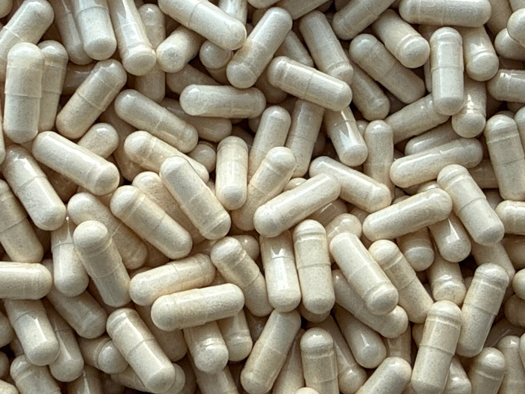 Bêta-ecdystérone 98 % – Capsules – BulkLab Nutrition