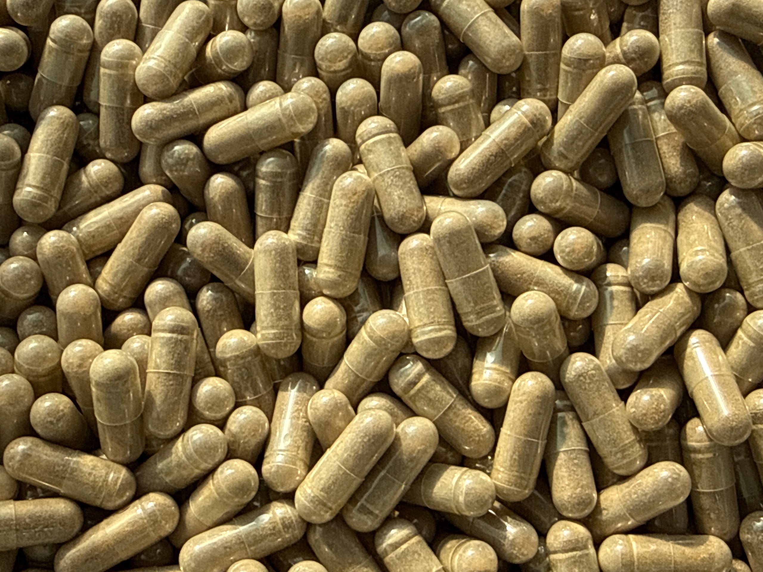 Turkesterone 50 % – Capsules en vrac – BulkLab Nutrition