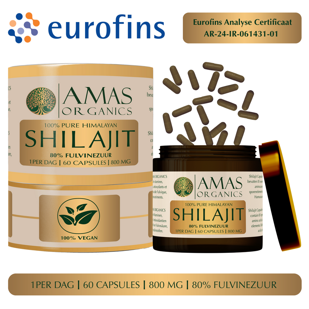 CAPSULES DE SHILAJIT HIMALAYENNE 100 % PURES
