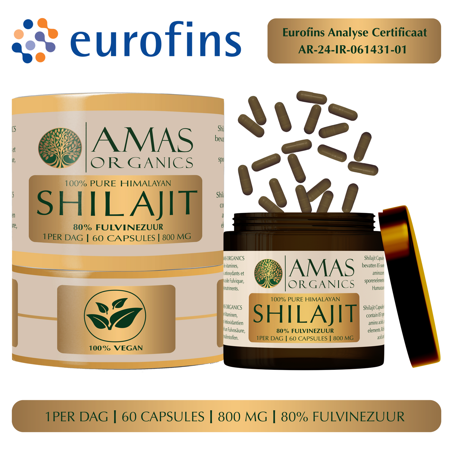 CAPSULES DE SHILAJIT HIMALAYENNE 100 % PURES