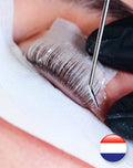Entraînement en ligne pour le volume de cils - Nederlands