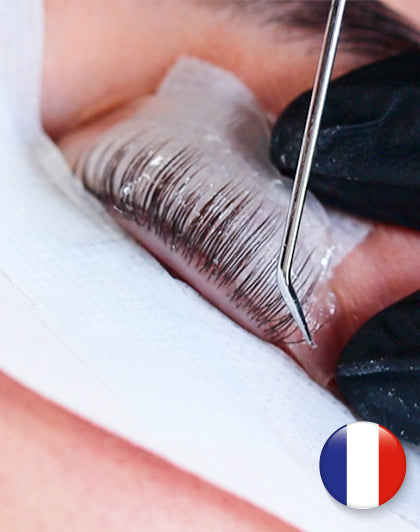 Entraînement en ligne sur le volume des cils (différentes langues)