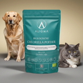 Poudre de chlorella organique pour animaux : 250 grammes